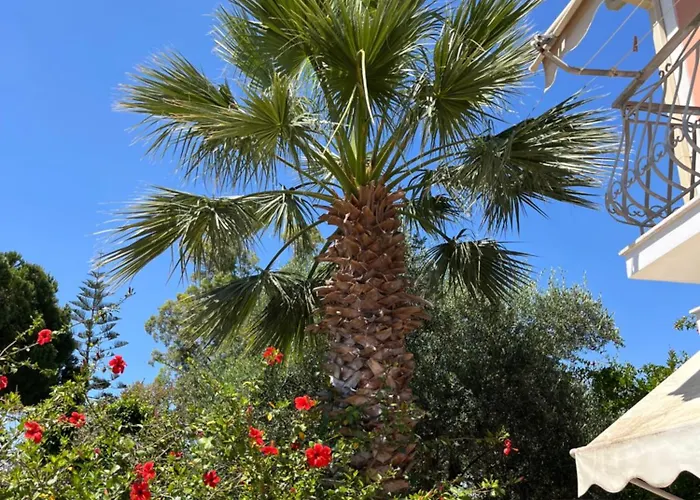 Artemis Vassilikos Aparthotel