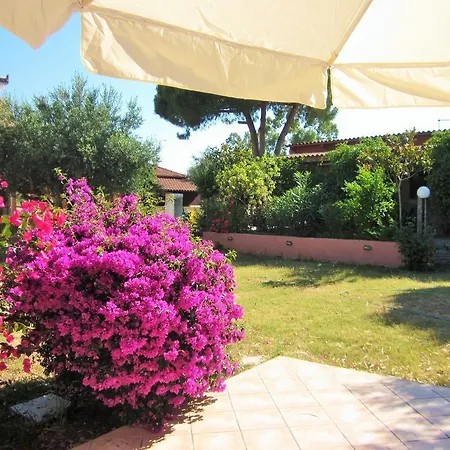 Aparthotel Artemis Vassilikos Vasilikos (Zakynthos)