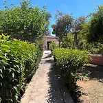 Artemis Vassilikos 3*