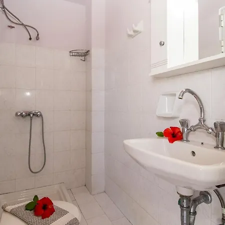 Artemis Vassilikos