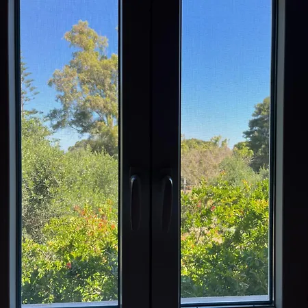 公寓式酒店 Artemis Vassilikos Vasilikí