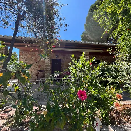 Artemis Vassilikos Vasilikí