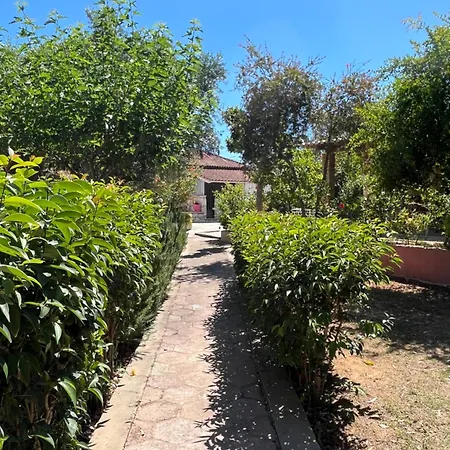 Artemis Vassilikos 3*