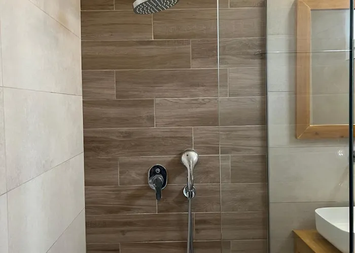 Lägenhetshotell Artemis Vassilikos 3*