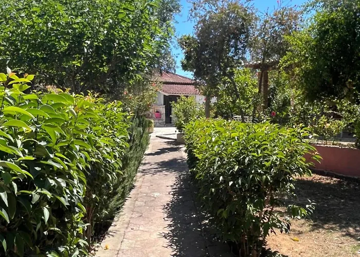 Artemis Vassilikos 3*